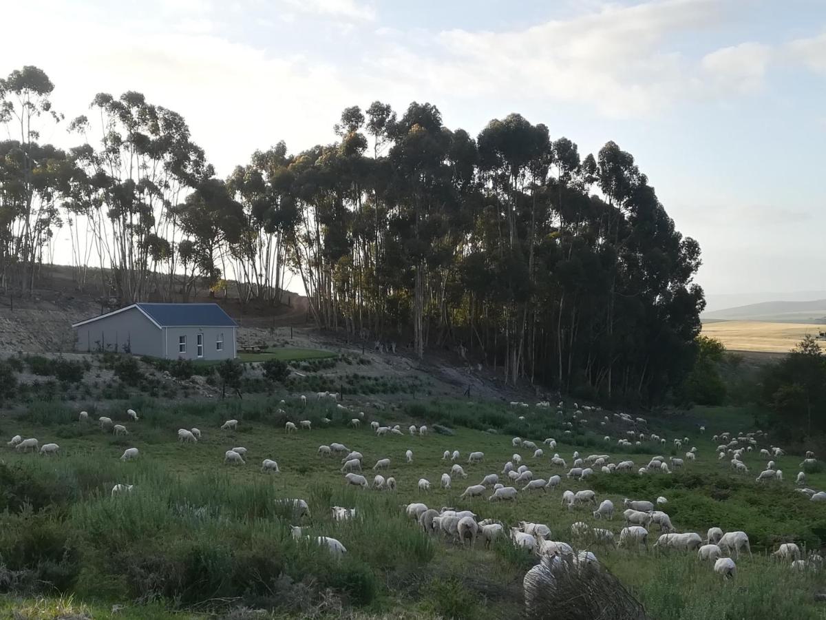 Treyntjes Rivier Cottages - Housity