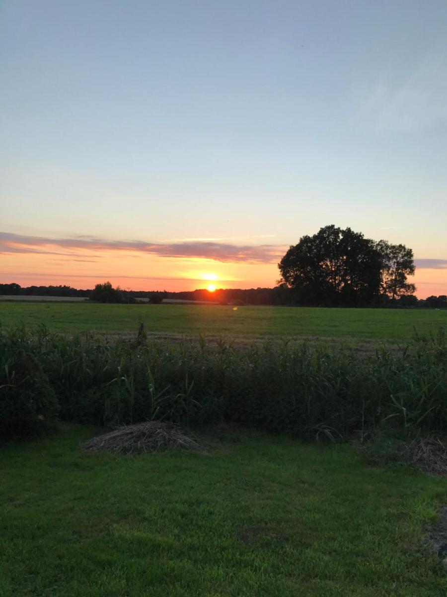 Baldies Tenne in Ostseenähe - Housity