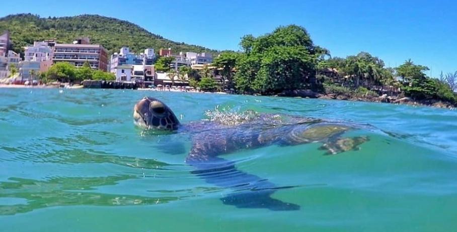 Apartamento centro Porto belo!! - Housity