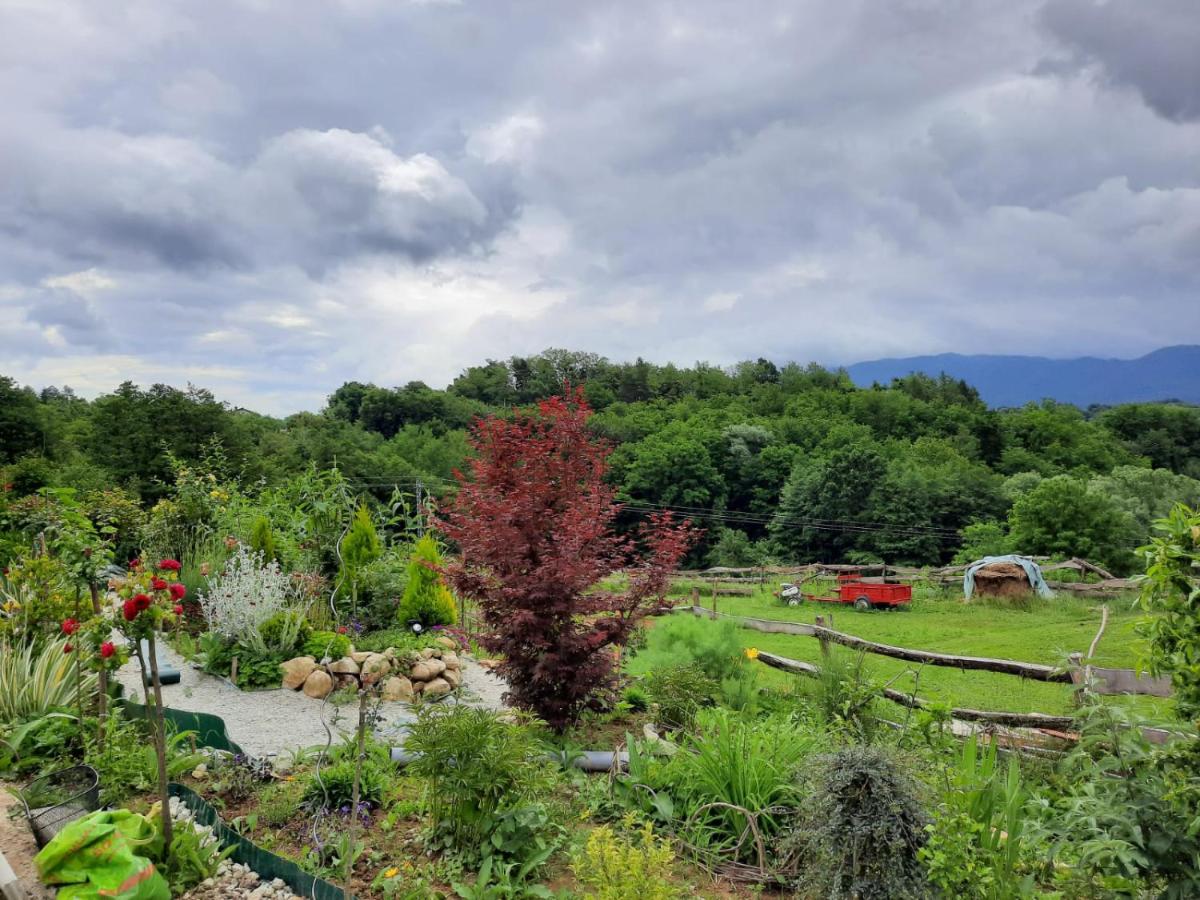 Apartman Mavrek - Housity