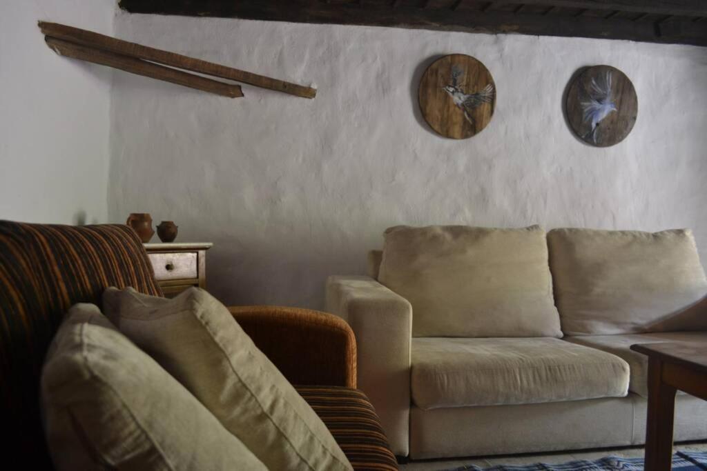 Casa Rural Lomito del Pino - Housity