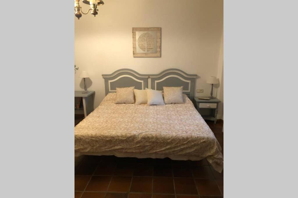 LOLAILO - Housity