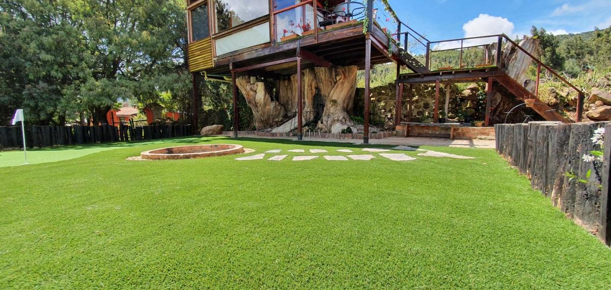 Casa en el Árbol - Housity