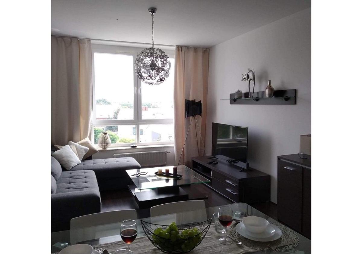 Sunny Penthouse with roof gardens overlooking the Warsaw Palace of Culture - Housity