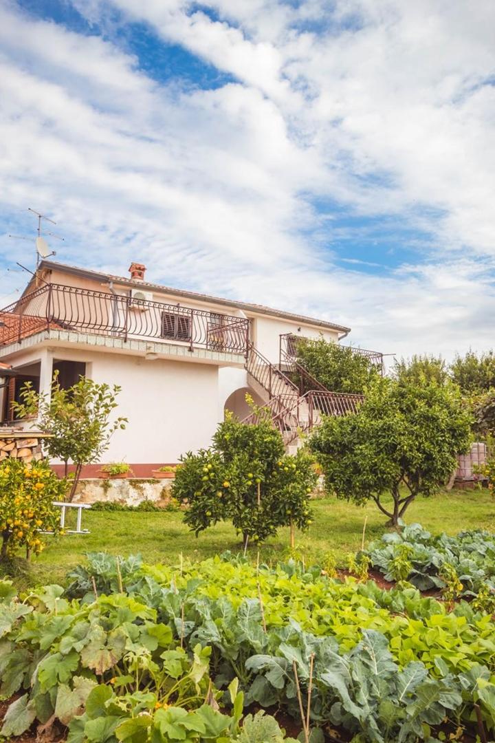 Apartment Luciana 1 - Housity