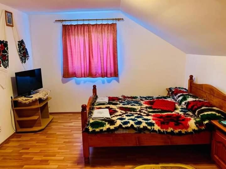 Pensiunea Anca - Housity