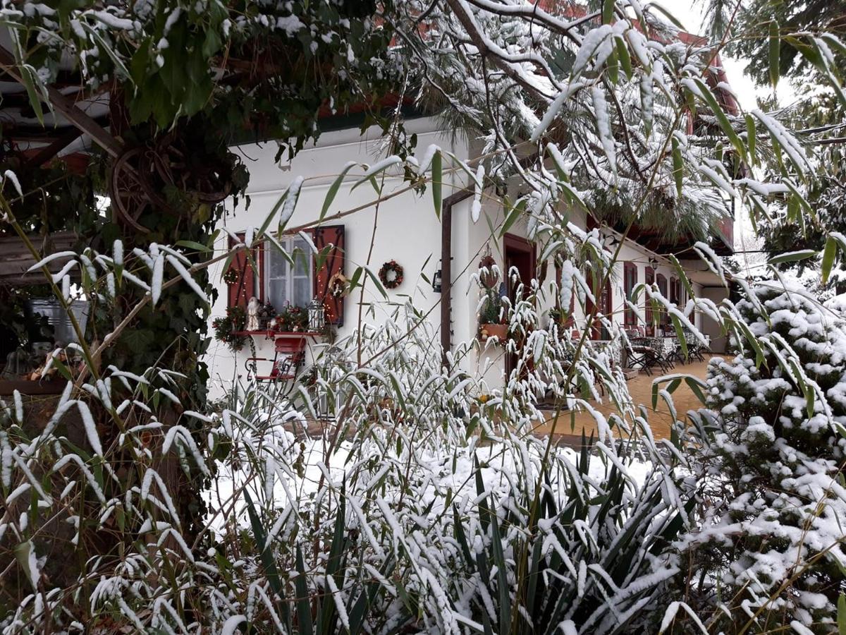 Garten Vendégház - Housity