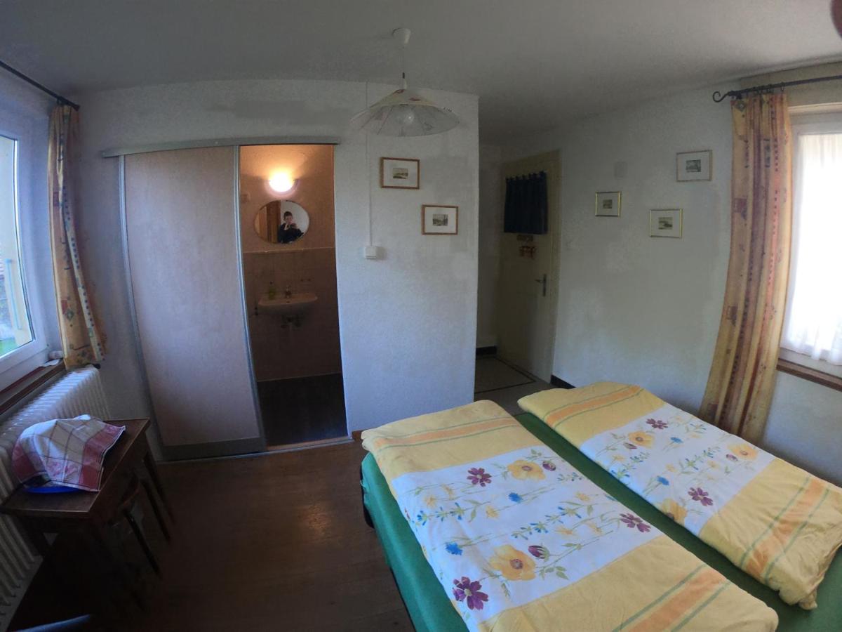 Lucky Duck - Housity