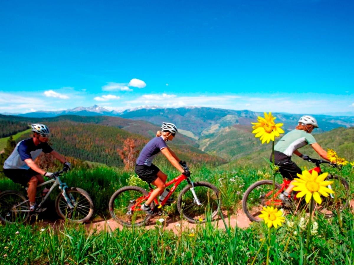 Village at Breckenridge Resort - Housity