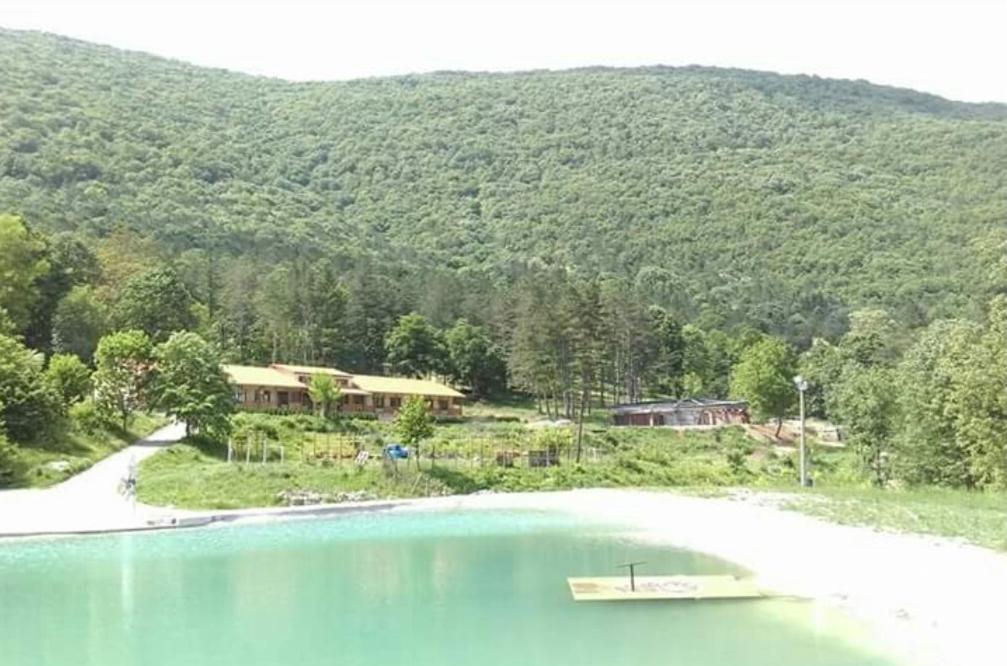 Complex Lovets - Housity