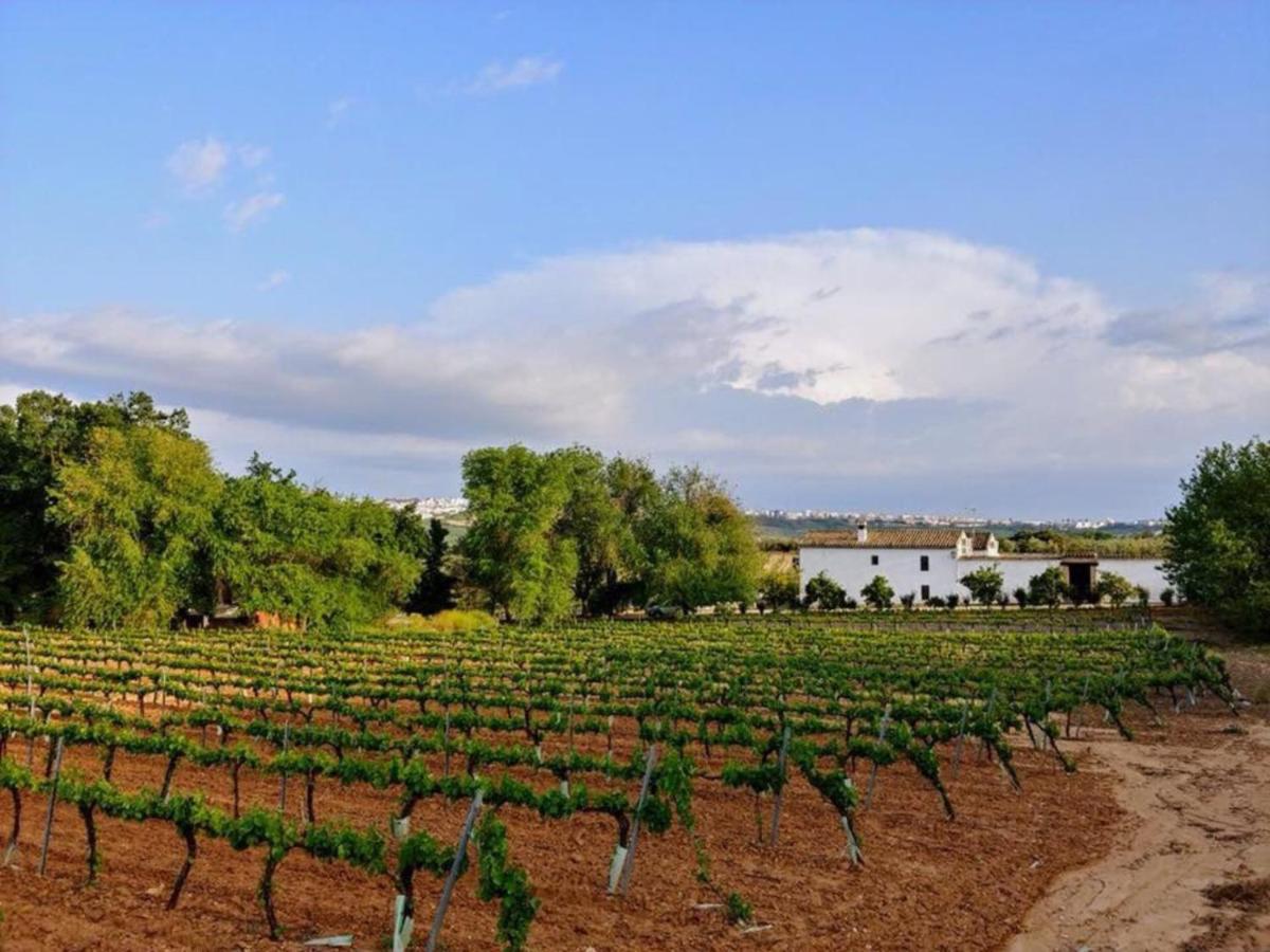 Bodega Boutique Finca Buytrón - Housity
