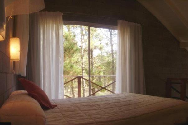 Loft Hadas del Bosque - Housity