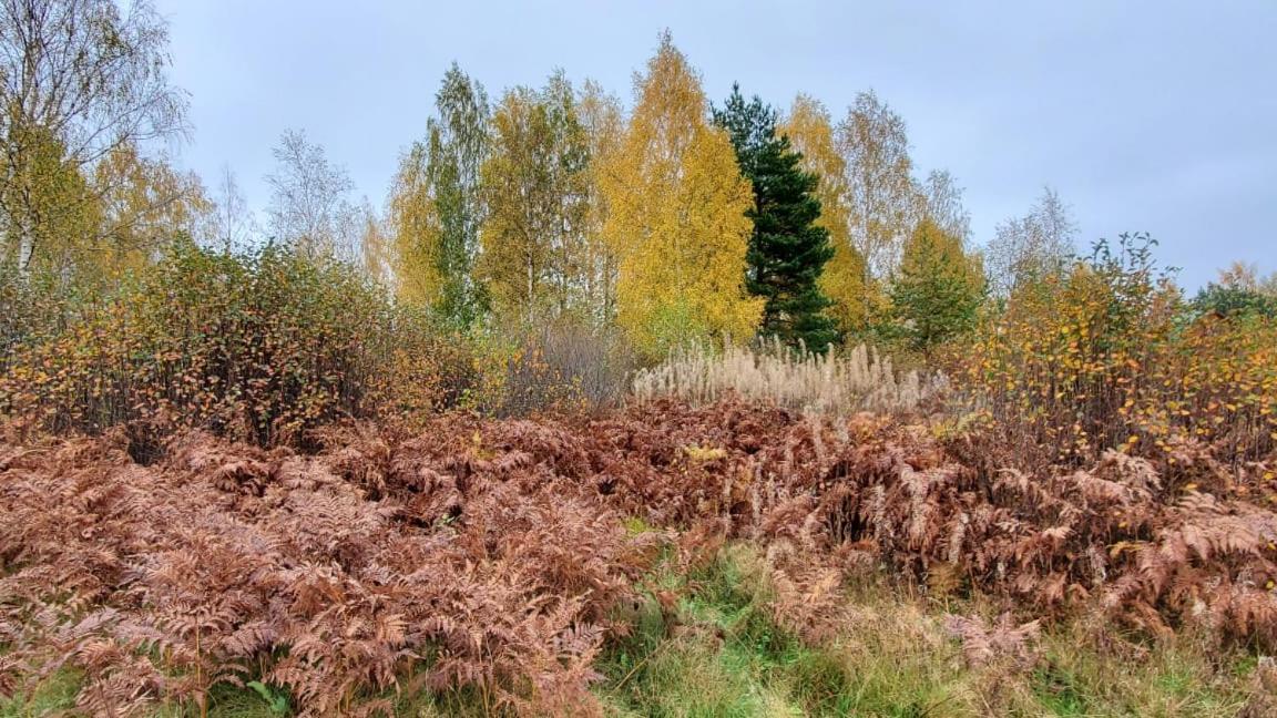 Uiutnyi dom tverskaia oblast ostashkovskii raion derevnia pachkovo - Housity