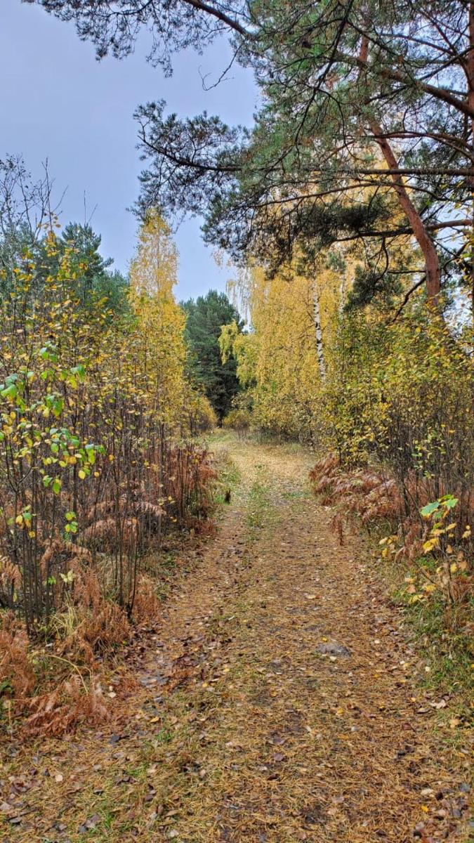 Uiutnyi dom tverskaia oblast ostashkovskii raion derevnia pachkovo - Housity