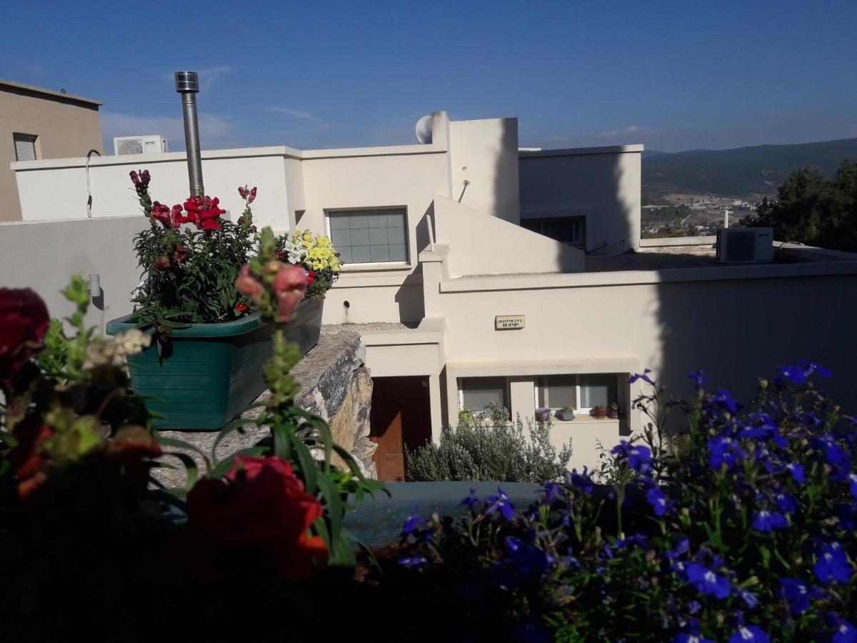 Oren's place - perfect for families & friend's - Housity