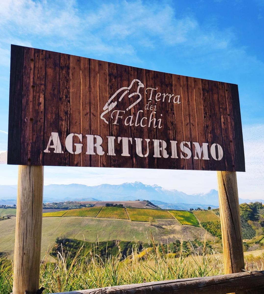 Agriturismo Terra dei Falchi - Housity