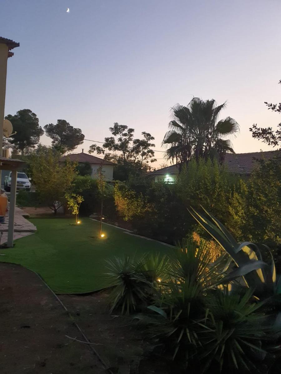 Under the pine trees - Housity