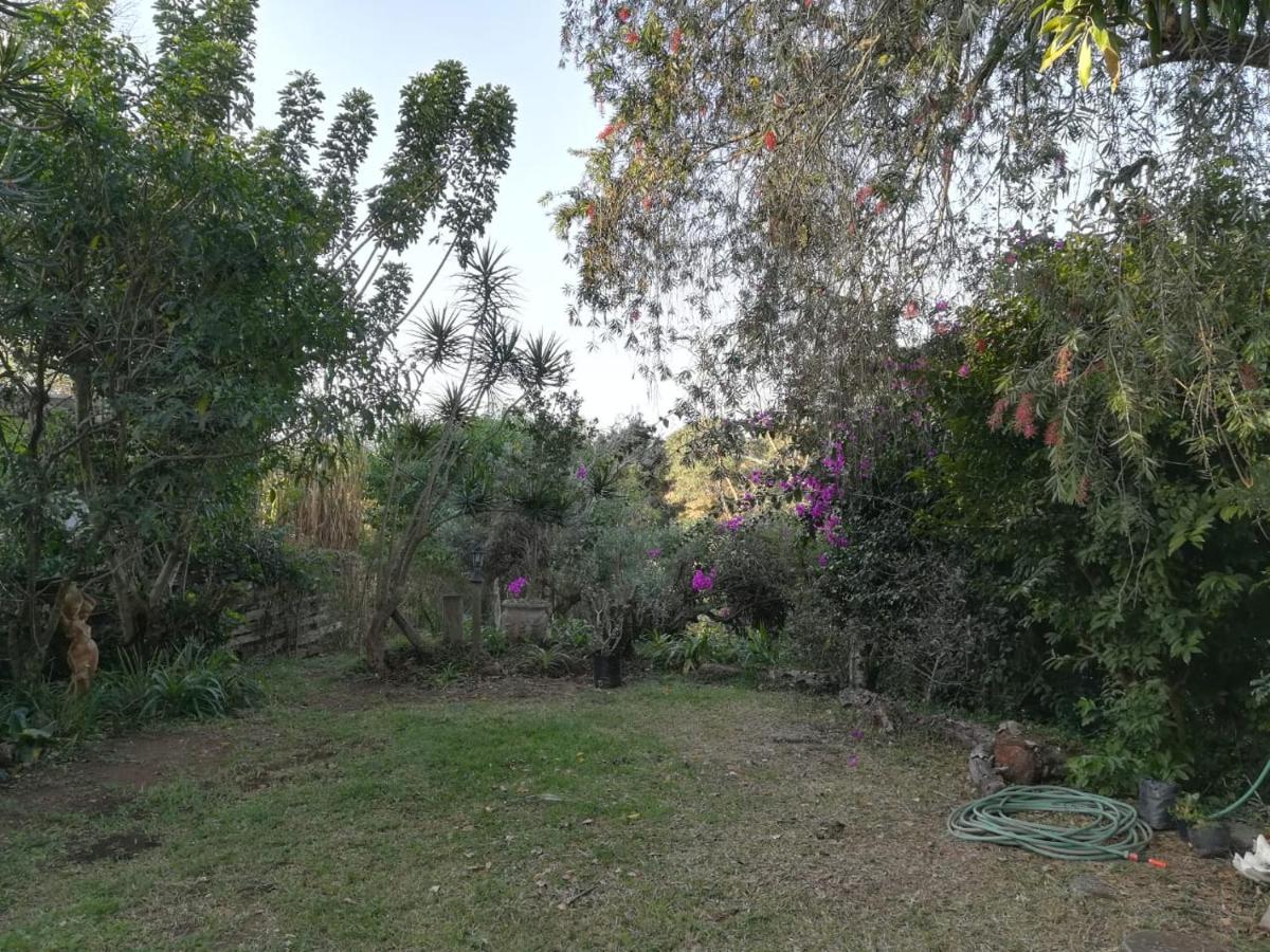 Tucked away in the tree tops - Housity