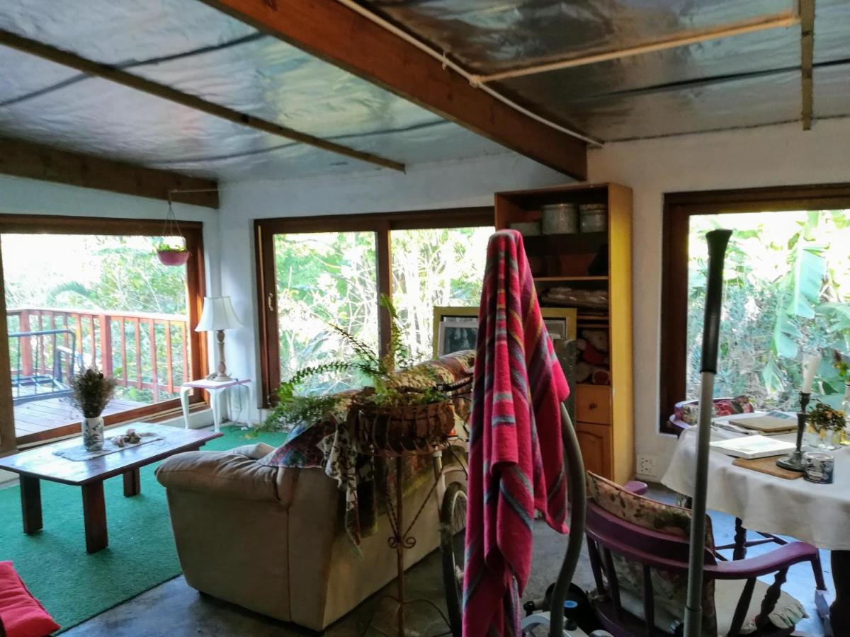Tucked away in the tree tops - Housity