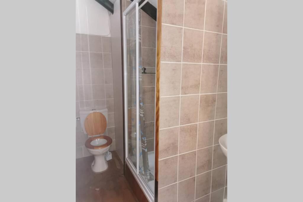 Palm Tree Accommodation - Housity