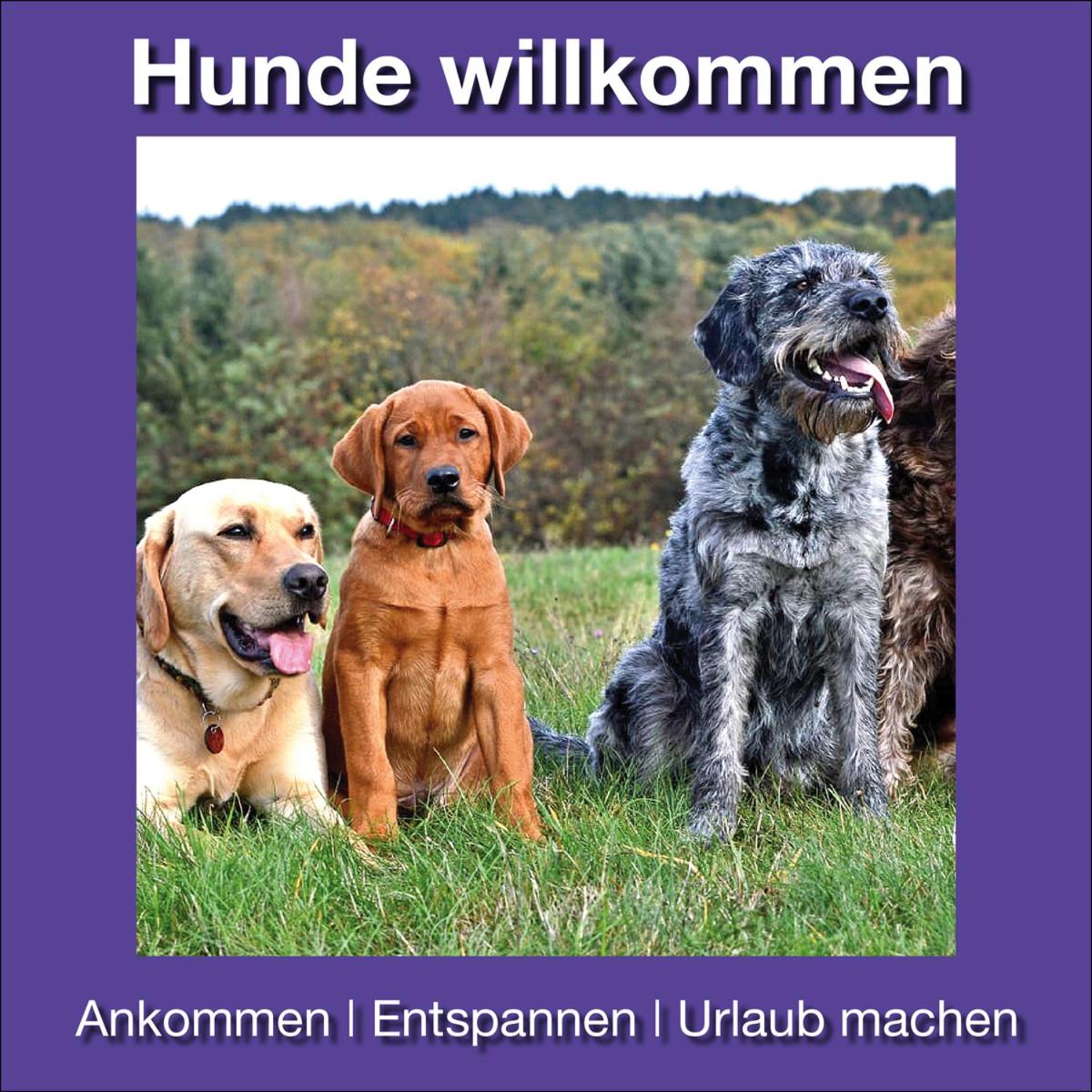 Ferienwohnungen BECKENDORF Schiller - Housity