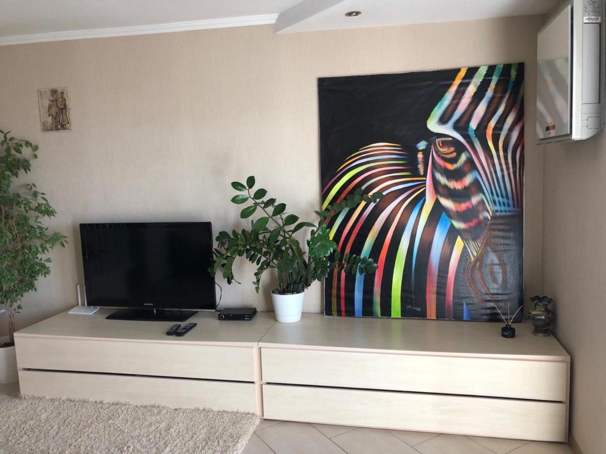 Cozy and comfortable apartment - Housity