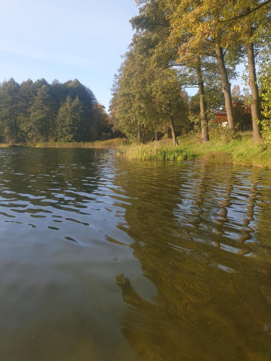Leśny Azyl Bory Tucholskie - Housity