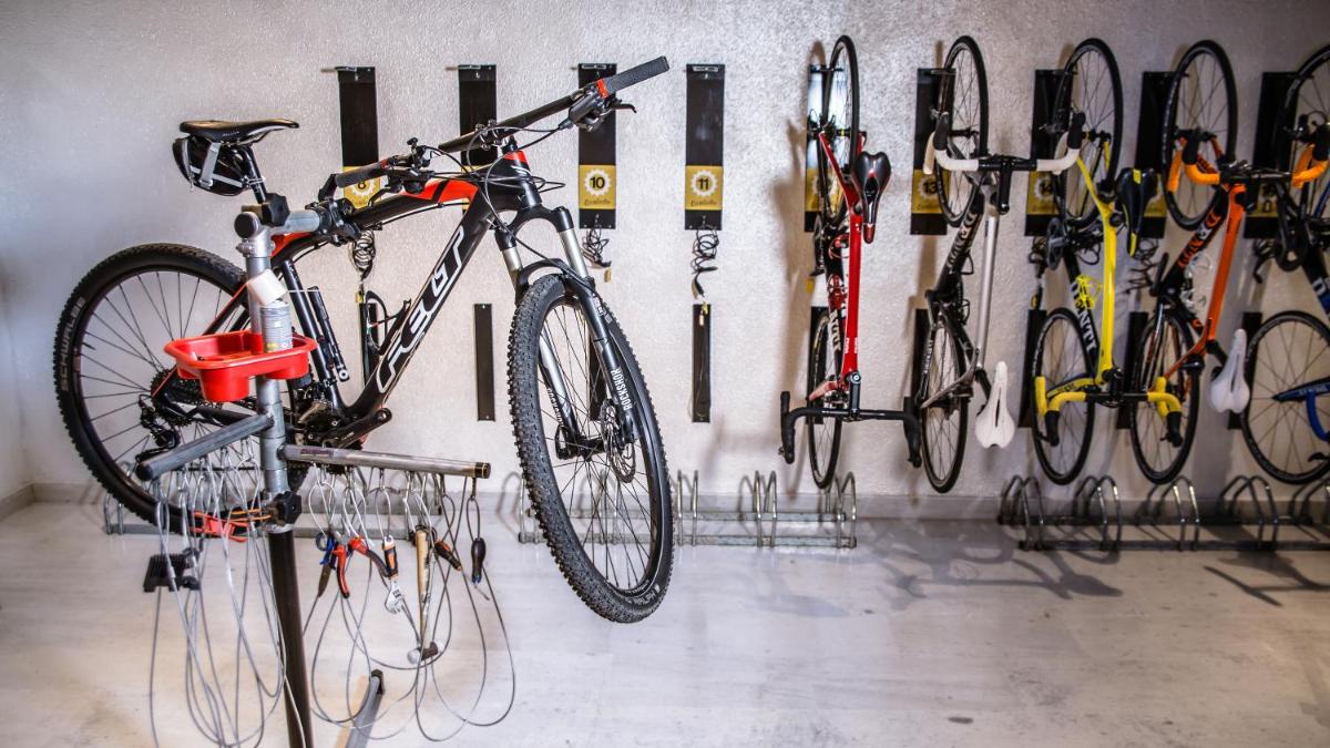Montar en bicicleta en Salles Hotels Marina Portals o alrededores