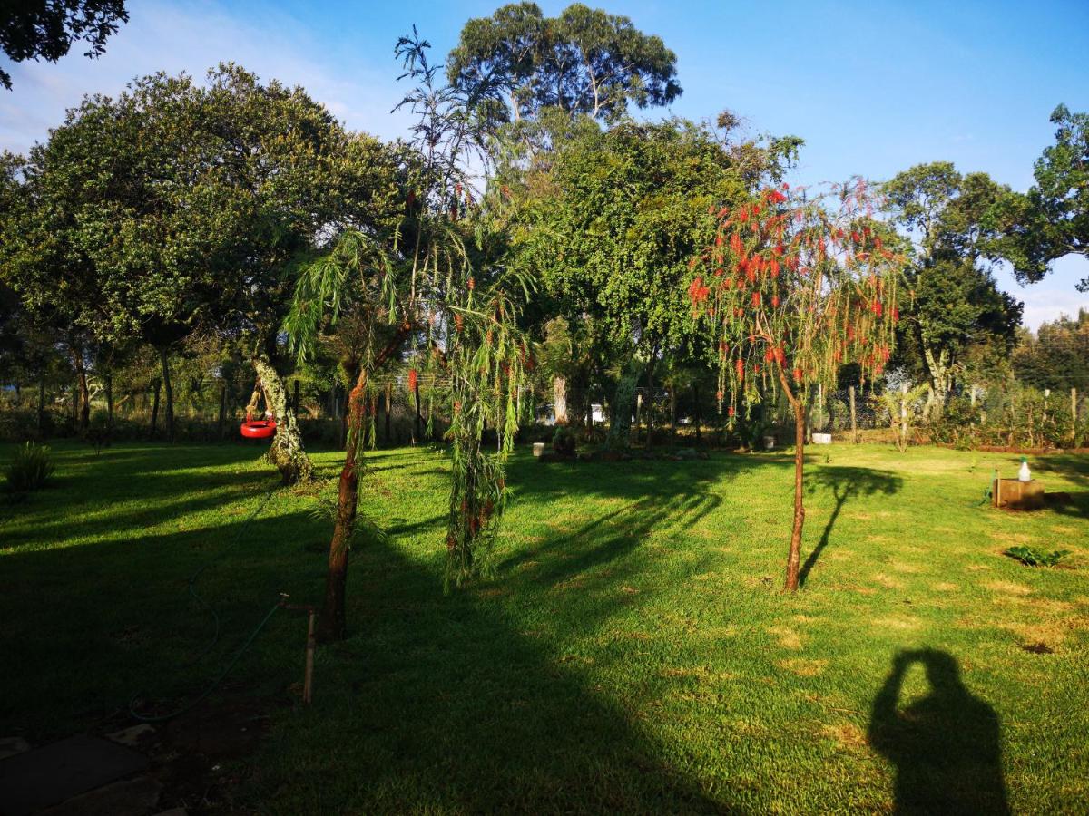 Ol marei Home - Housity