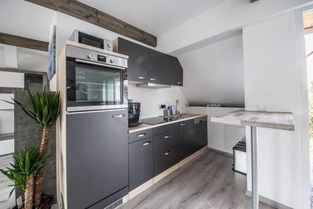 Apartment Haus 8 Hohenwarsleben - Housity
