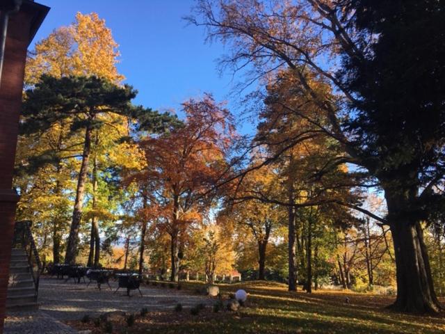 Hotel Villam - Housity