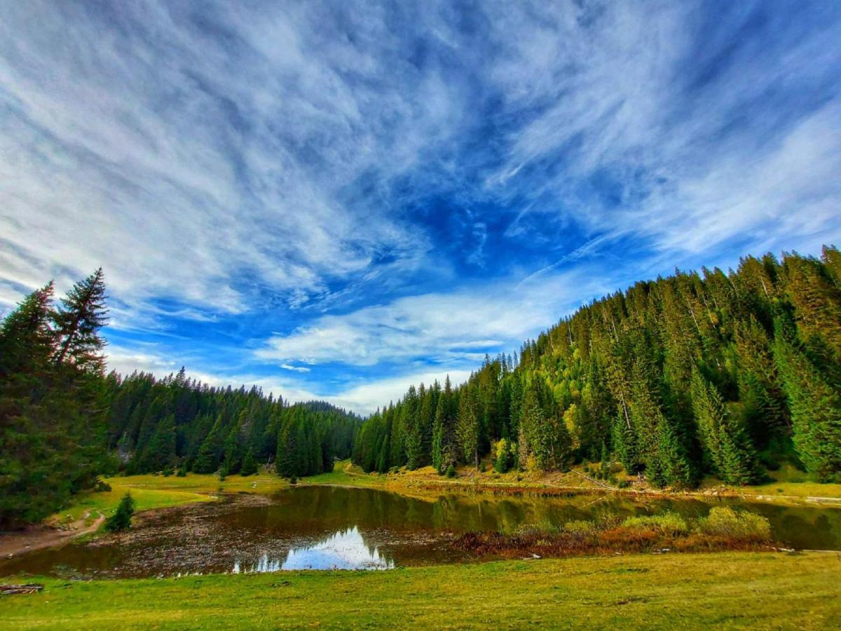 Resort Skrivena - Housity