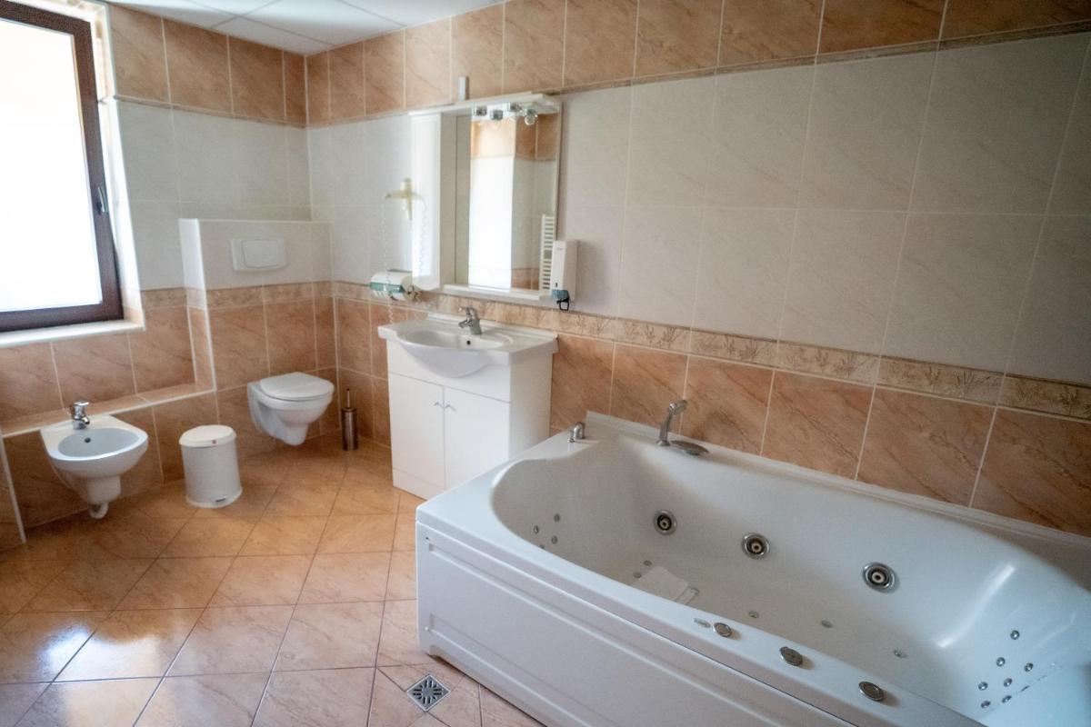 Pensiunea Sura Dacilor - Alex - Housity