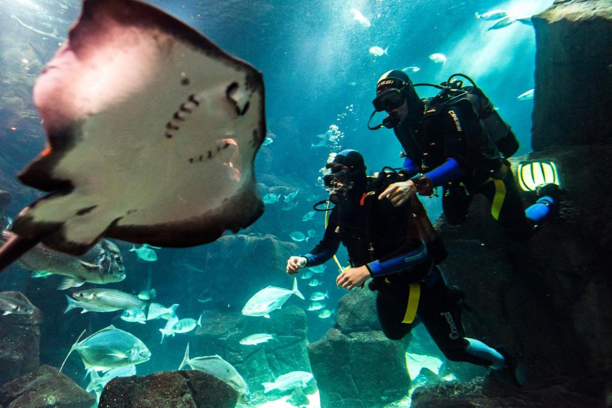 Os clientes hospedados em Aqua Natura Bay