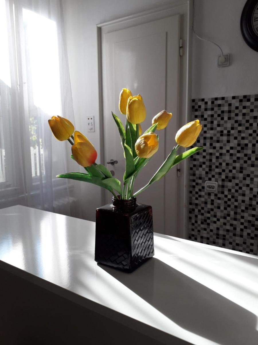 Apartment Dunja NS - Housity