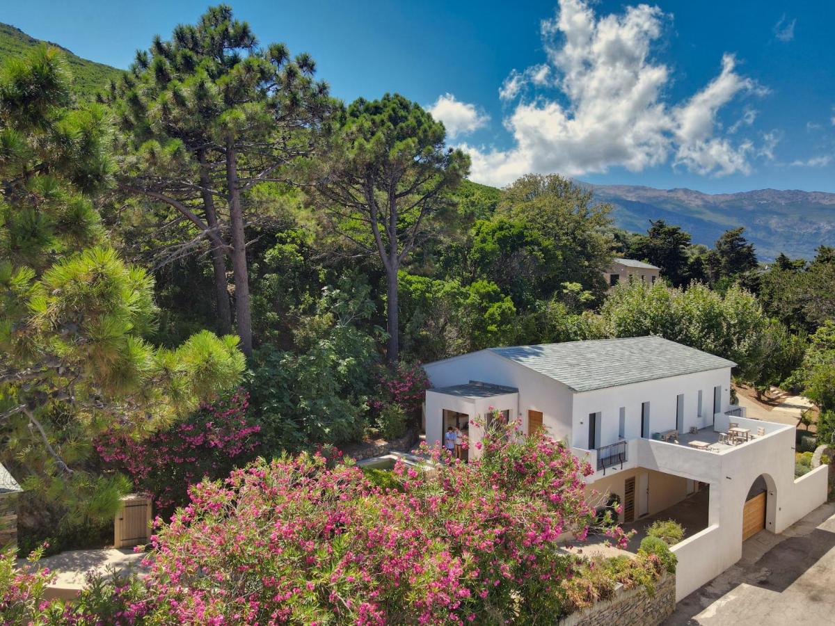 Vue générale sur la montagne ou vue sur la montagne depuis l'hôtel