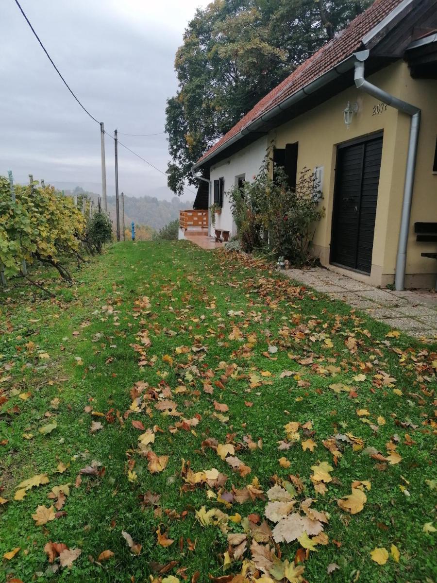 Rural house above the forest - Housity