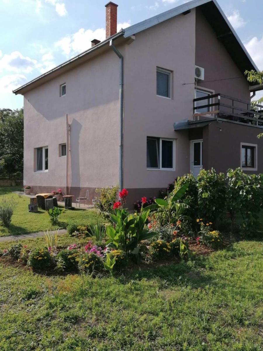 Apartmani Vidikovac - Housity