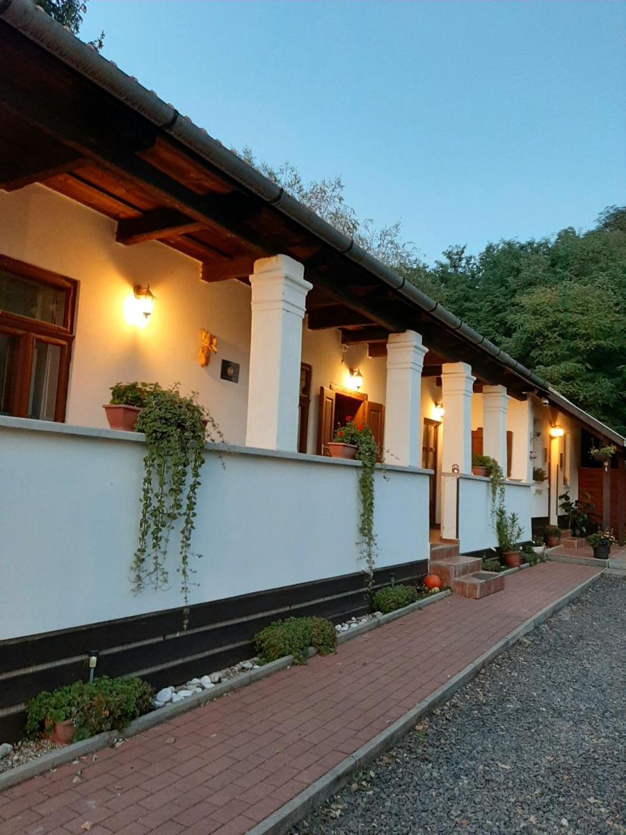 Bodza Vendégház - Apartmanház - Housity