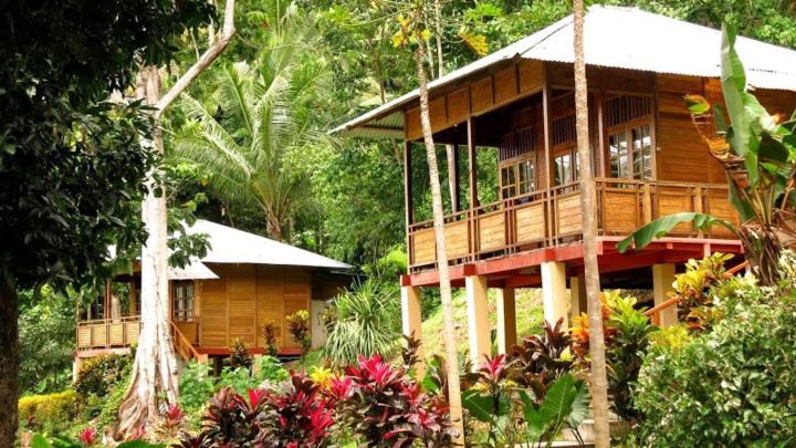 Two Fish Resort Lembeh - Housity