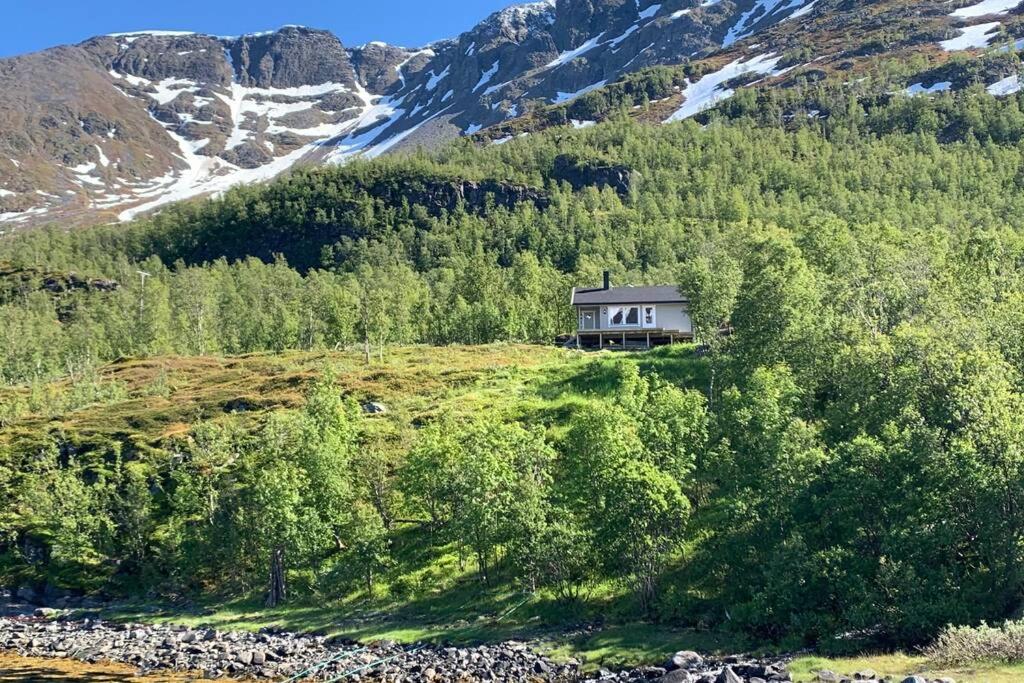 Cabin in Jøkelfjord - Housity