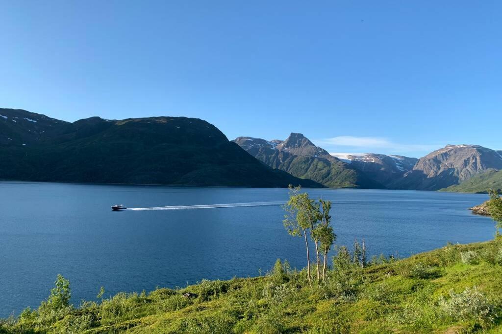 Cabin in Jøkelfjord - Housity