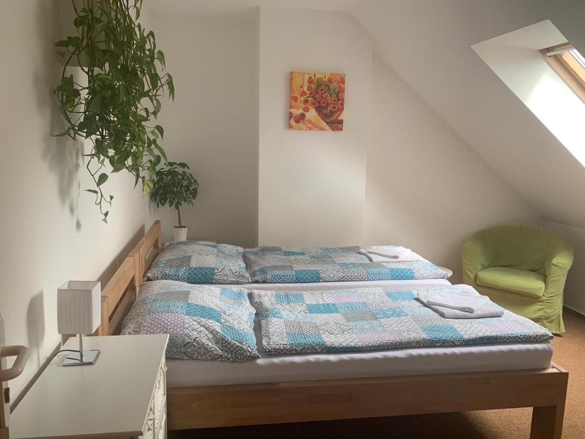 Penzion Galerie - Housity