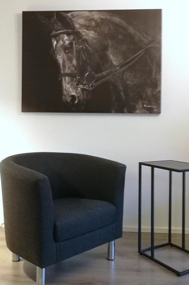 Kalustetut kaksio Kaisa - Housity