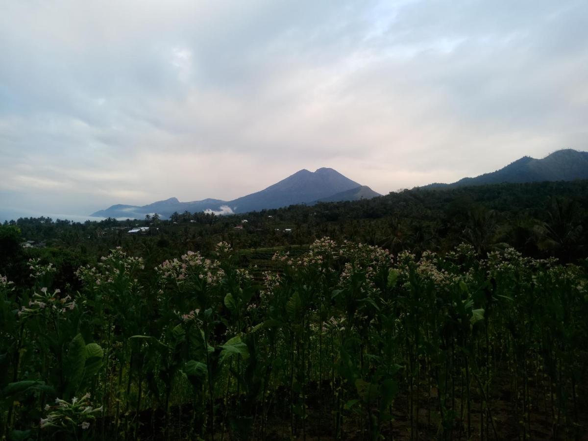 Mudung Keramat Homestay - Housity