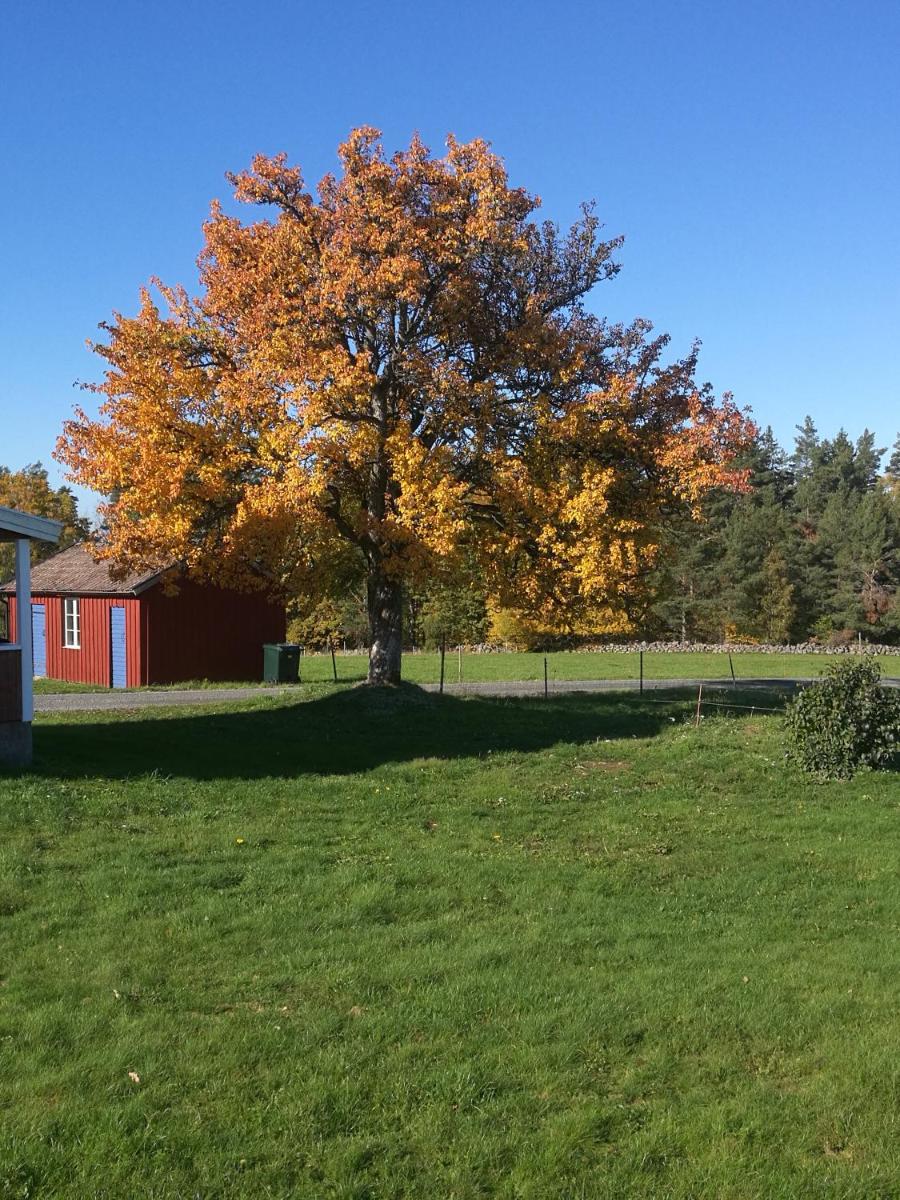 Hus Erling - Housity