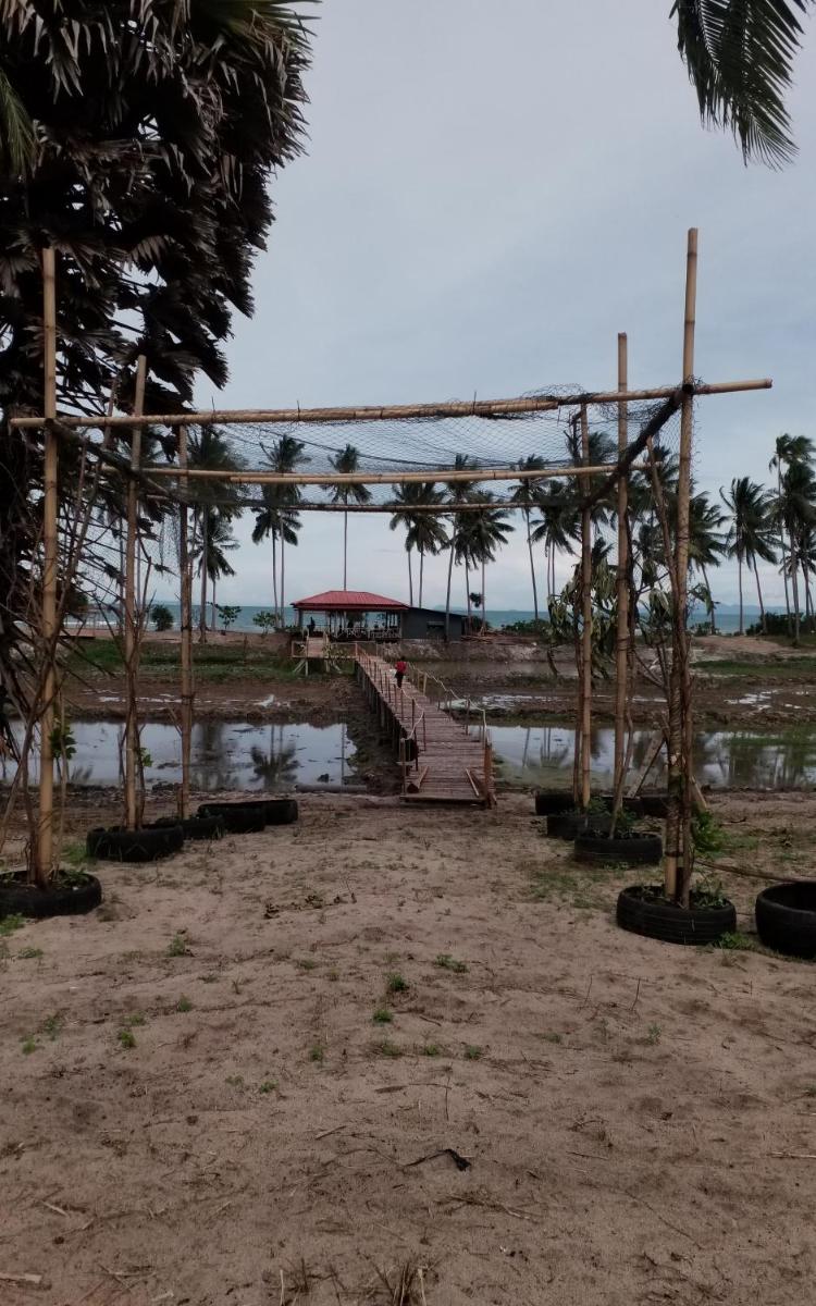 I - Talay Taling Ngam Samui - เขา ป่า นา เล ตลิ่งงาม สมุย - Housity