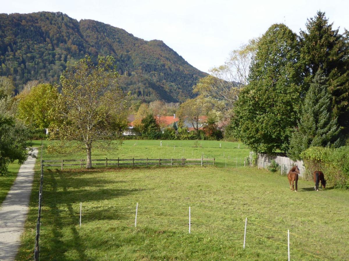 Ferienwohnung Schreiner-Viehhausen - Housity