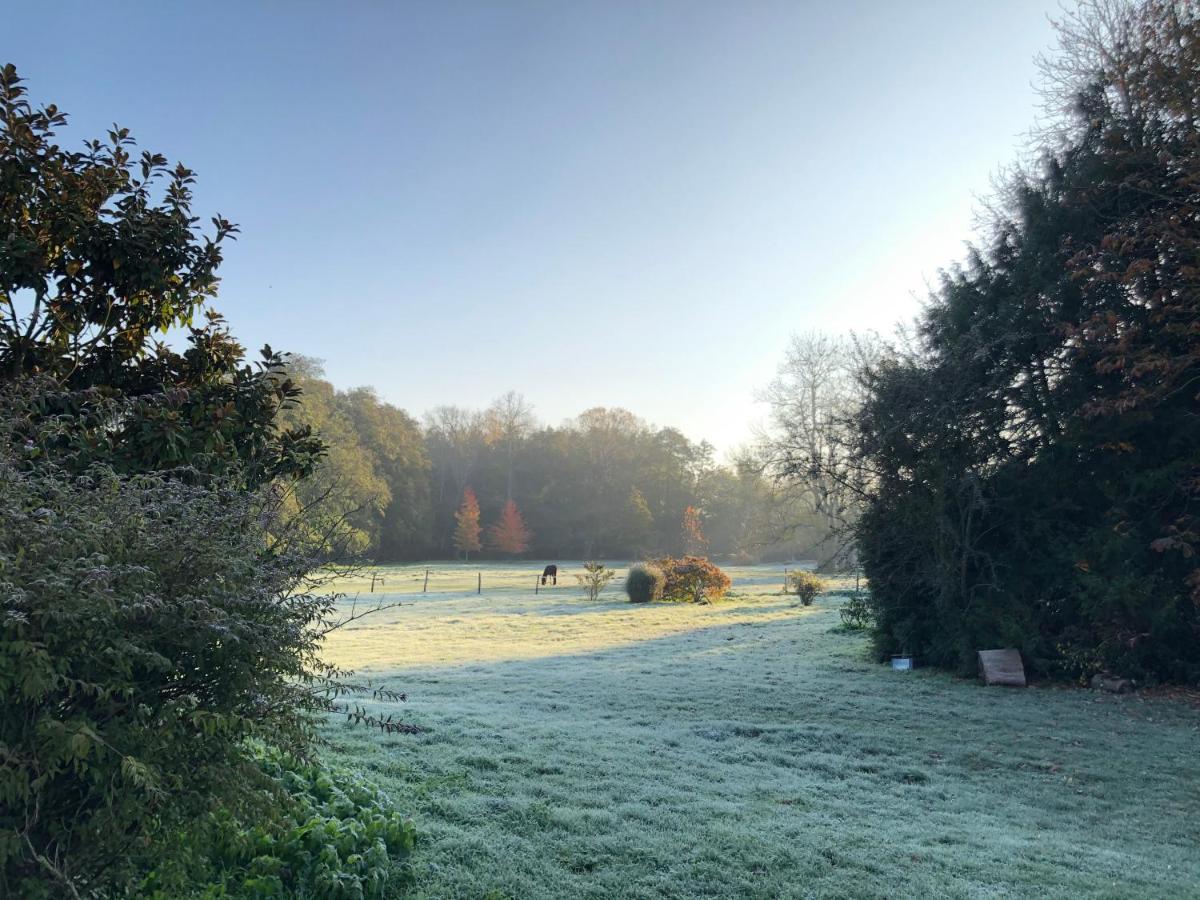 Le Logis d'Arniere - Housity