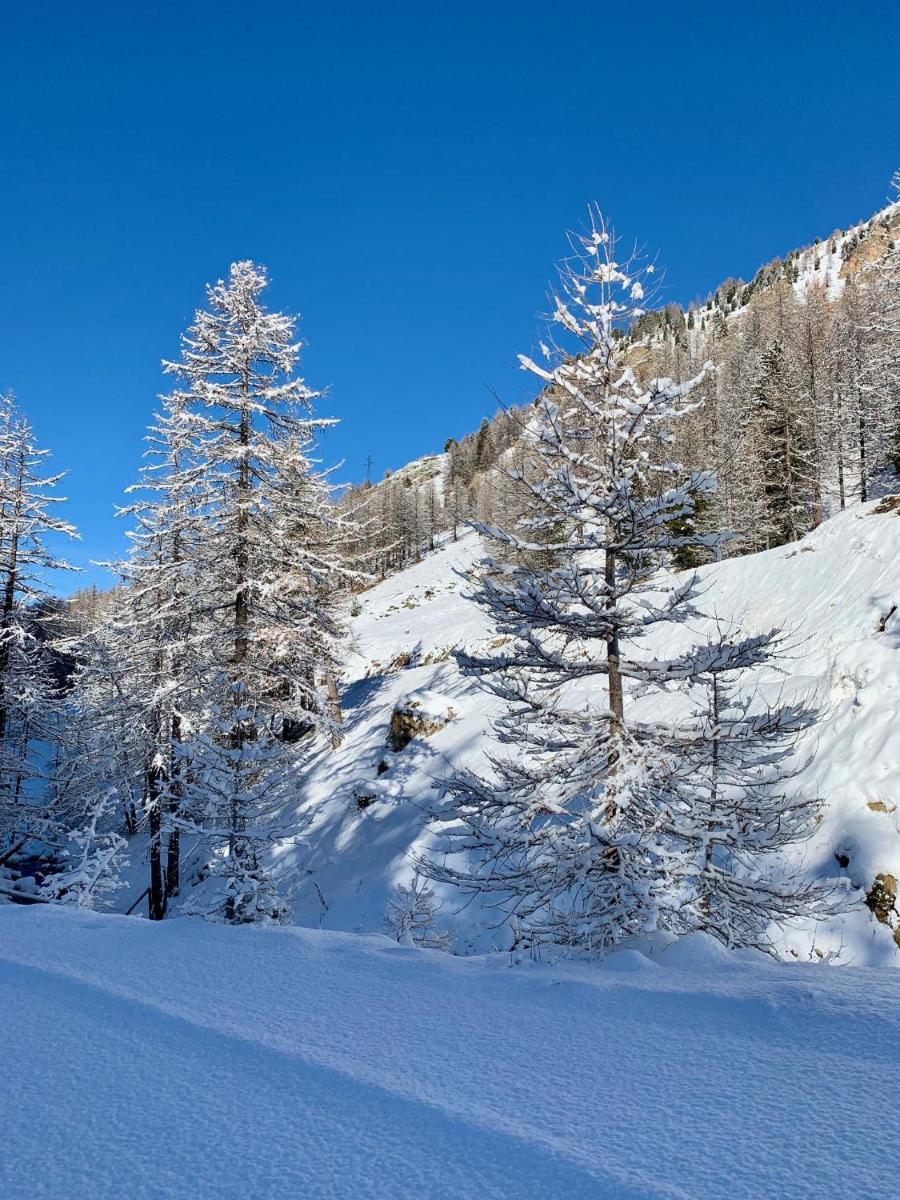 ISOLA Front de Neige - STUDIO - Housity